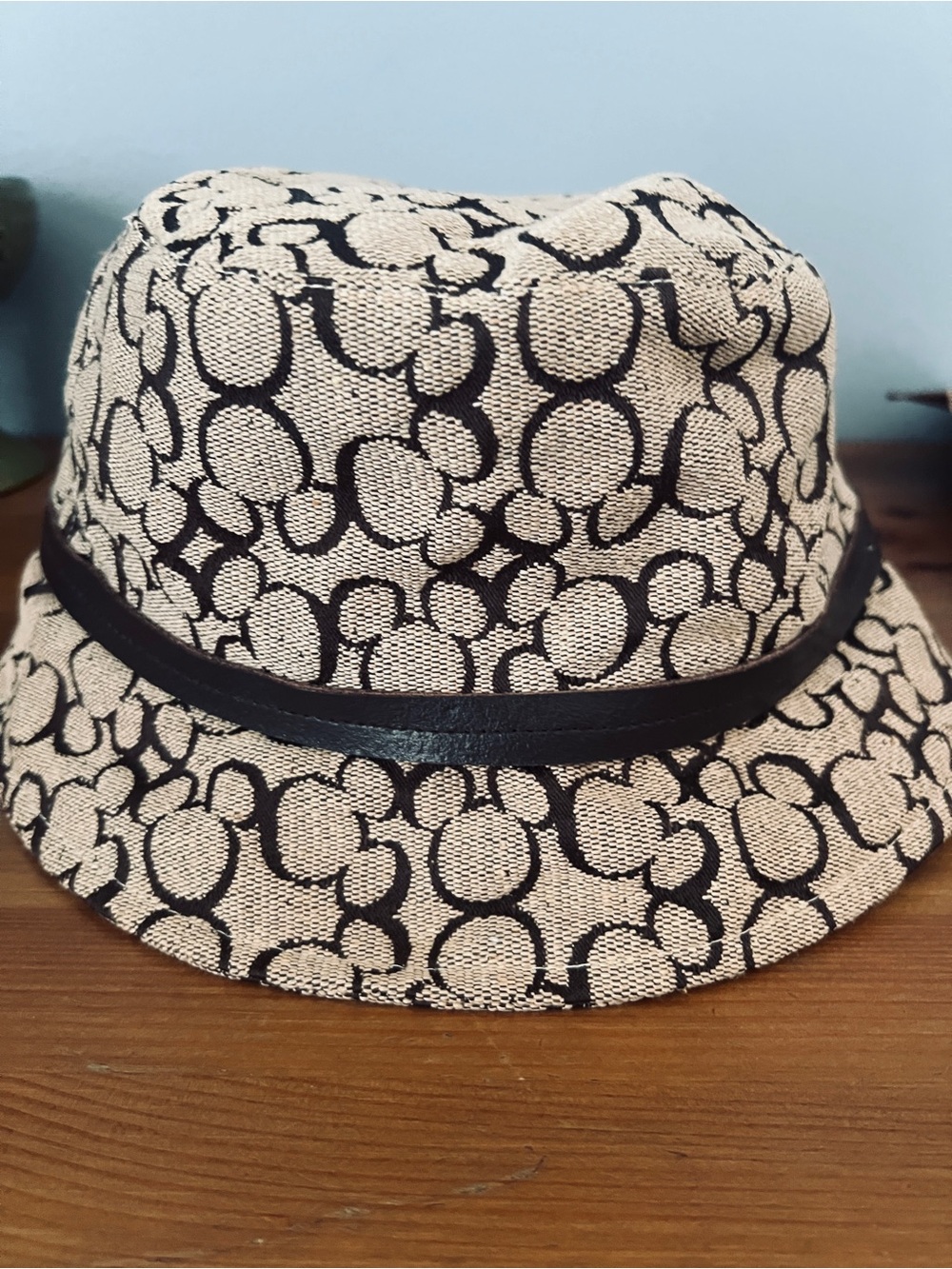 Disneyworld Bucket Hat with Classic Mickey logo design print